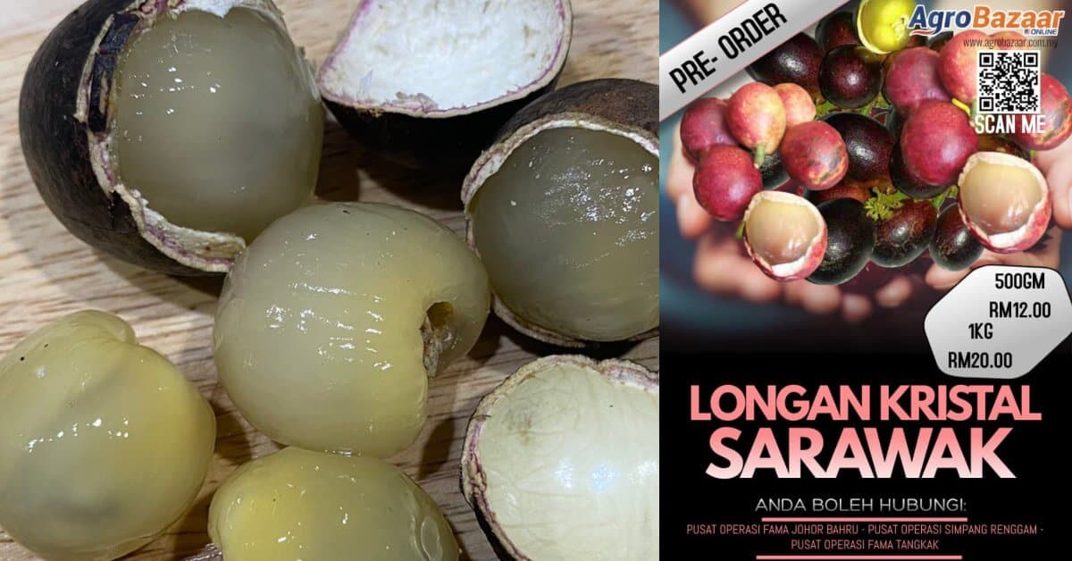 Terkenal Dengan Tiga Rasa, Jom Ketahui Cara Beli Buah Kristal Sarawak Di Atas Talian