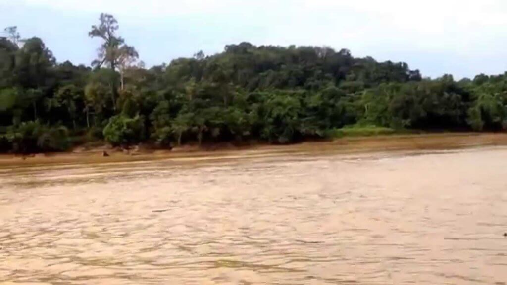Warga Emas 82 Tahun Berkerusi Roda Gagah Redah Sungai Guna Bot Untuk Ke Pusat Vaksinasi Kuching