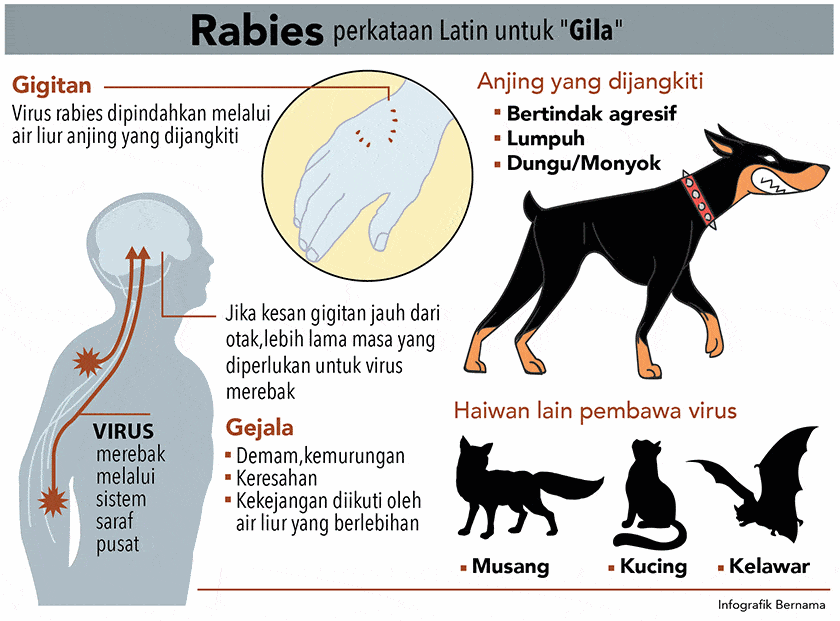 Kes Rabies Dikesan Di Taman Samarindah, Individu Pernah Digigit Anjing Diminta Tampil