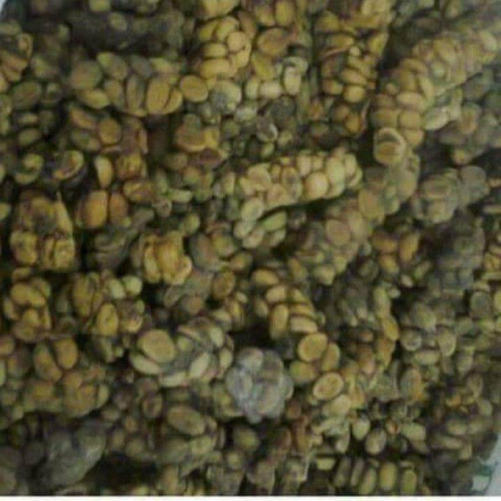 Diproses Daripada Najis Haiwan, Kenali 2 Jenis Biji Kopi Termahal Di Dunia