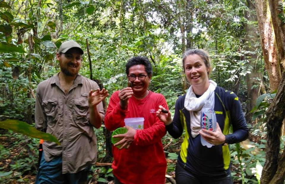 Sekumpulan Penyelidik Temui 2 Spesis Kupang Baharu Berstatus Endemik Di Limbang Dan Kinabatangan