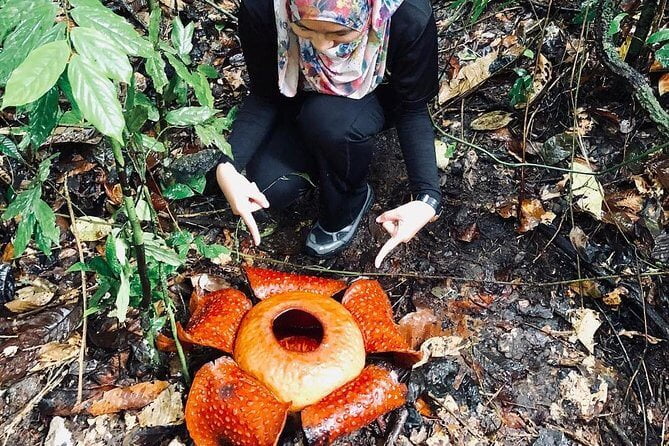 Yeay Dah Boleh Hiking! Taman Negara Termasuk Di Kuching Sudah Dibuka Semula Untuk Kunjungan Umum