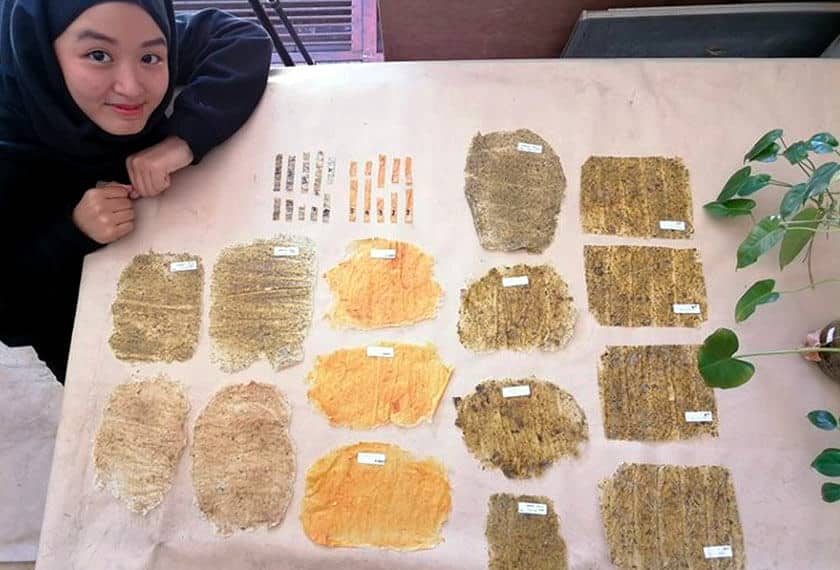 Reka Beg Guna Kulit Buah Limau, Anak Sabah Ini Menang Tempat Kedua Pertandingan Reka Bentuk Antarabangsa