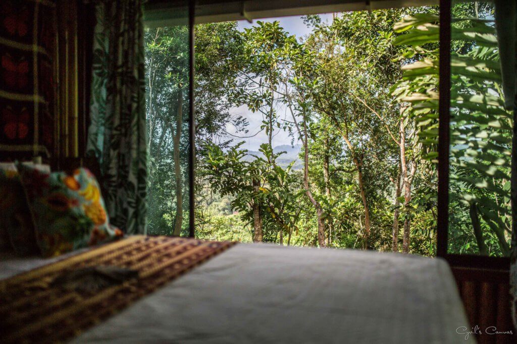Bina Sendiri Monorack Sehingga Ke Kaki Gunung Singai, Inovasi Pemilik 'Jungle Stay' Di Bau Ini Jadi Tarikan Baru