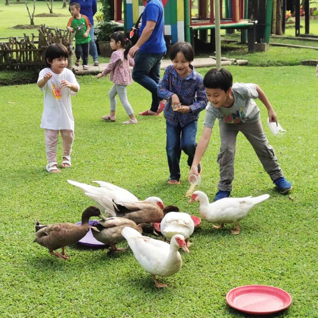 Sumiran Eco Camp, Destinasi Berkhemah 'All-in-1' Siap Ada Flying Fox Terpanjang Di Sarawak!