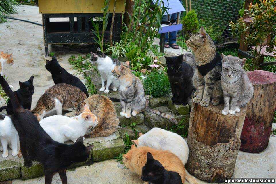 Ini Adalah Senarai 4 Tempat Menarik Di Sabah Yang Anda Boleh Lawati