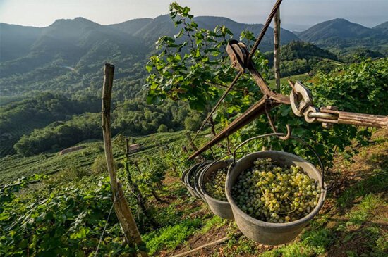 Bina Sendiri Monorack Sehingga Ke Kaki Gunung Singai, Inovasi Pemilik 'Jungle Stay' Di Bau Ini Jadi Tarikan Baru