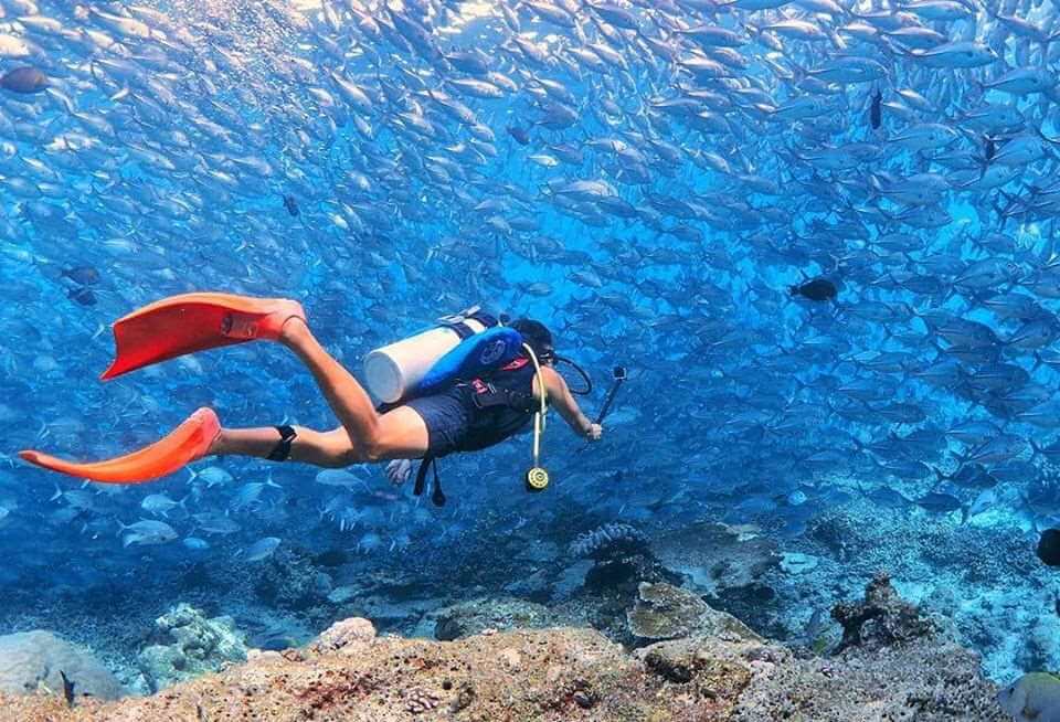 Diiktiraf Sebagai Lokasi Menyelam Terbaik Di Dunia, Keindahan Pulau Mabul Sabah Pasti Buat Anda 'Speechless'