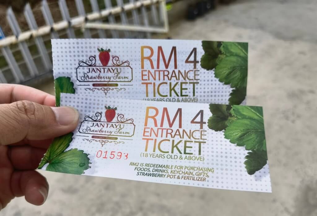 Satu-Satunya Ladang Strawberi Di Kuching, Jom Bawa Keluarga Ke Jantayu Strawberry Farm Matang