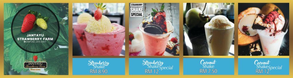 Satu-Satunya Ladang Strawberi Di Kuching, Jom Bawa Keluarga Ke Jantayu Strawberry Farm Matang