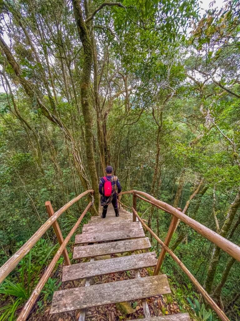 Aki-Aki Trail, Lokasi Pendakian Mengejar 'Sunrise Attack' Di Kundasang