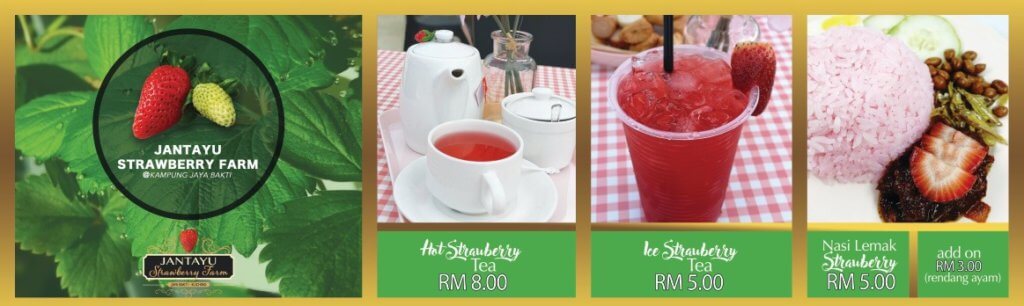 Satu-Satunya Ladang Strawberi Di Kuching, Jom Bawa Keluarga Ke Jantayu Strawberry Farm Matang