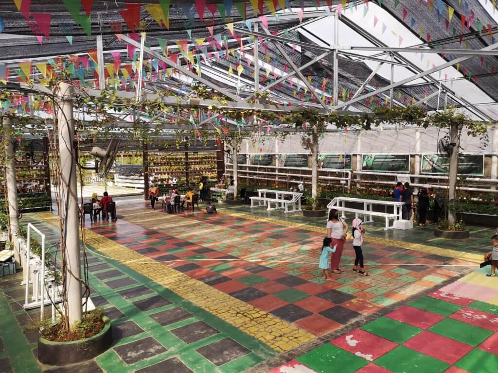 Satu-Satunya Ladang Strawberi Di Kuching, Jom Bawa Keluarga Ke Jantayu Strawberry Farm Matang