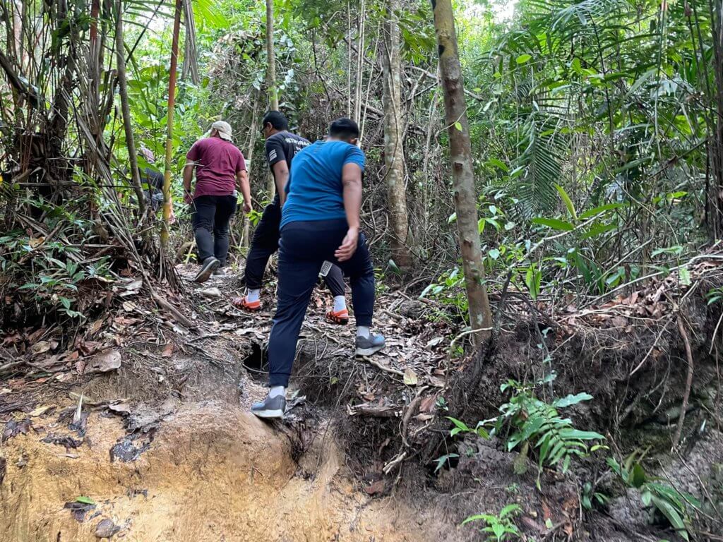 Jungle Trekking Di Taman Bukit Tumbina Bintulu, Trail Santai Hingga Ke Pantai Tanjung Batu