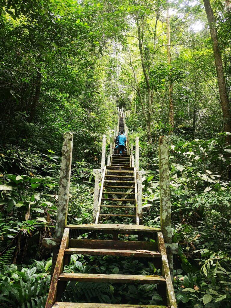 Alami Pendakian Yang Mencabar Di Bukit Kasut, Taman Negara Niah Miri