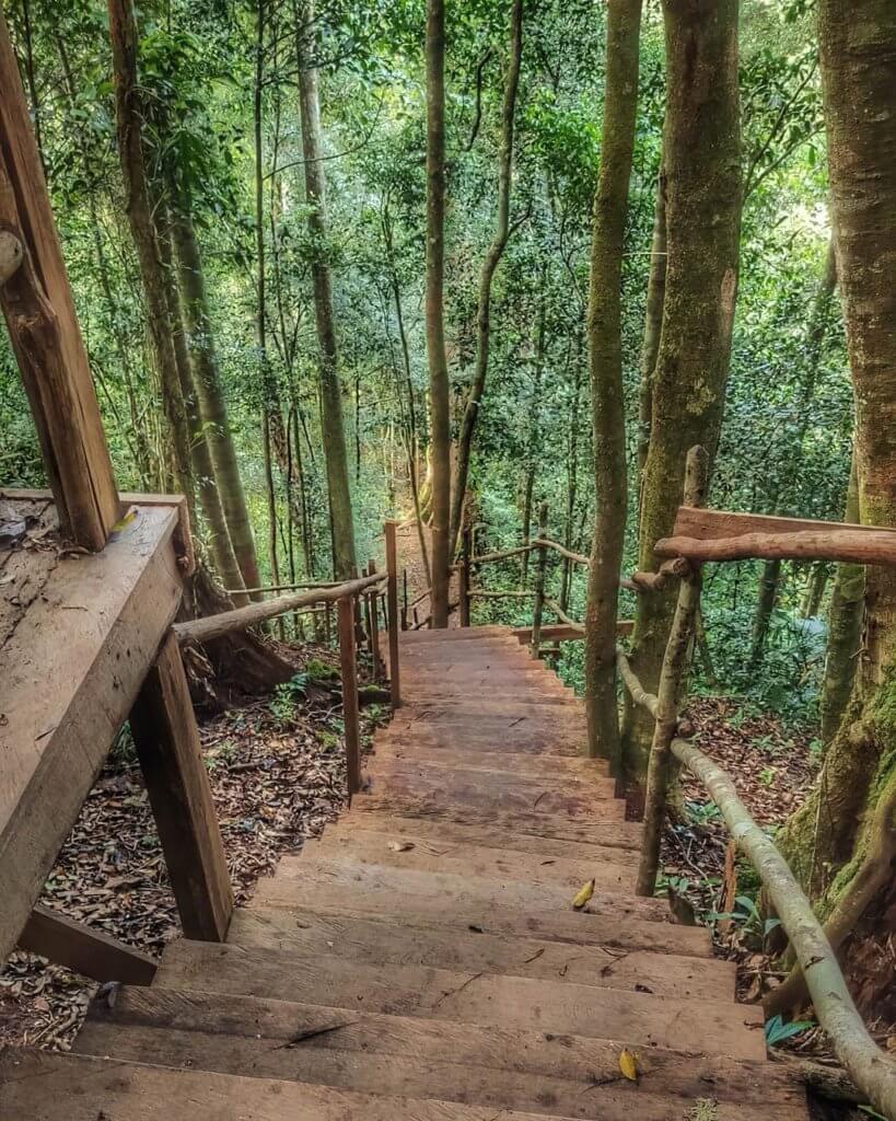 Aki-Aki Trail, Lokasi Pendakian Mengejar 'Sunrise Attack' Di Kundasang