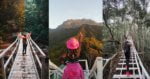 BeFunky collage 2021 11 02T151038.917 Aki-Aki Trail, Lokasi Cun Untuk Pendakian Mengejar 'Sunrise Attack' Di Kundasang