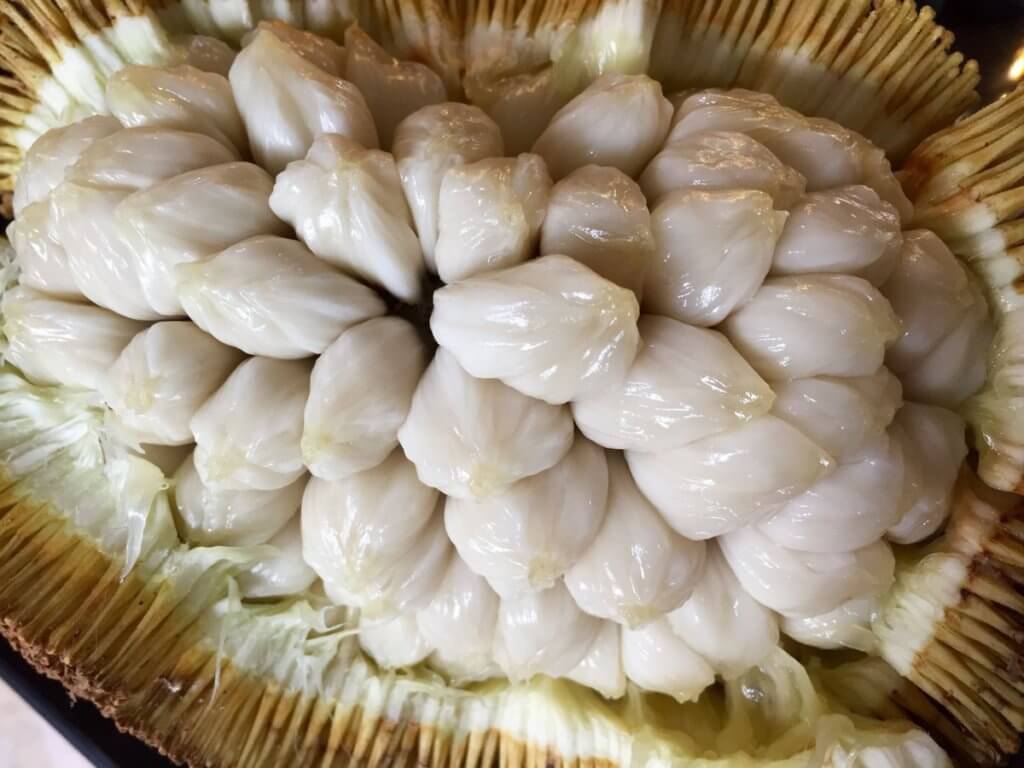 Menyerupai Cempedak, Nangka Dan Sukun, Ketahui Buah Terap Yang Boleh Didapati Di Pulau Borneo
