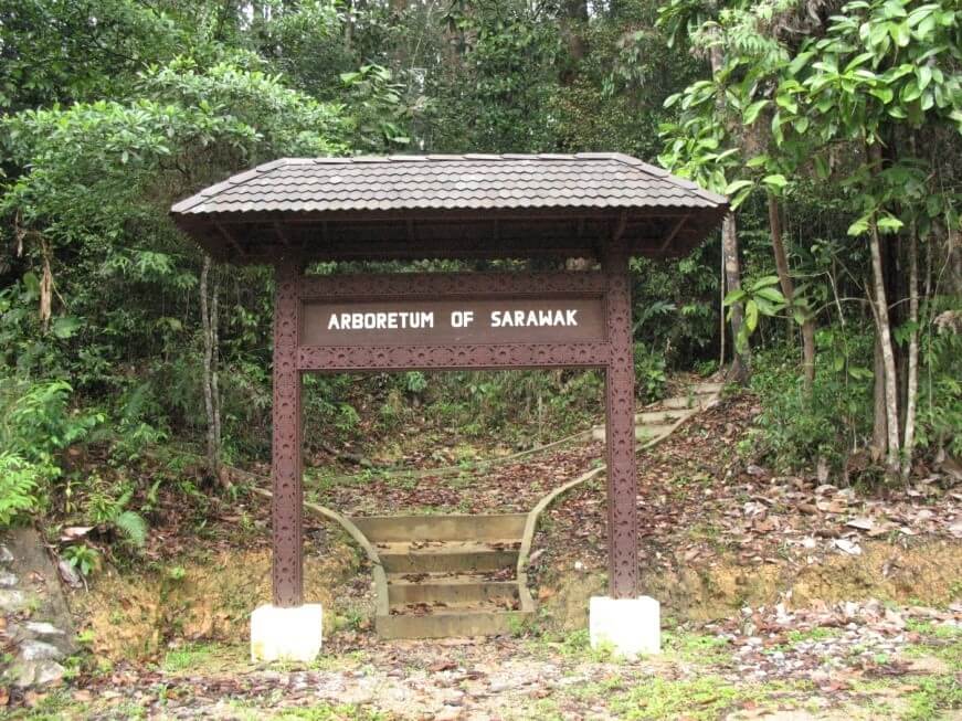 Yuran Masuk RM 5 Sahaja, Jom Jumpa Orang Utan Yang Comel Di Rizab Semulajadi Semenggoh