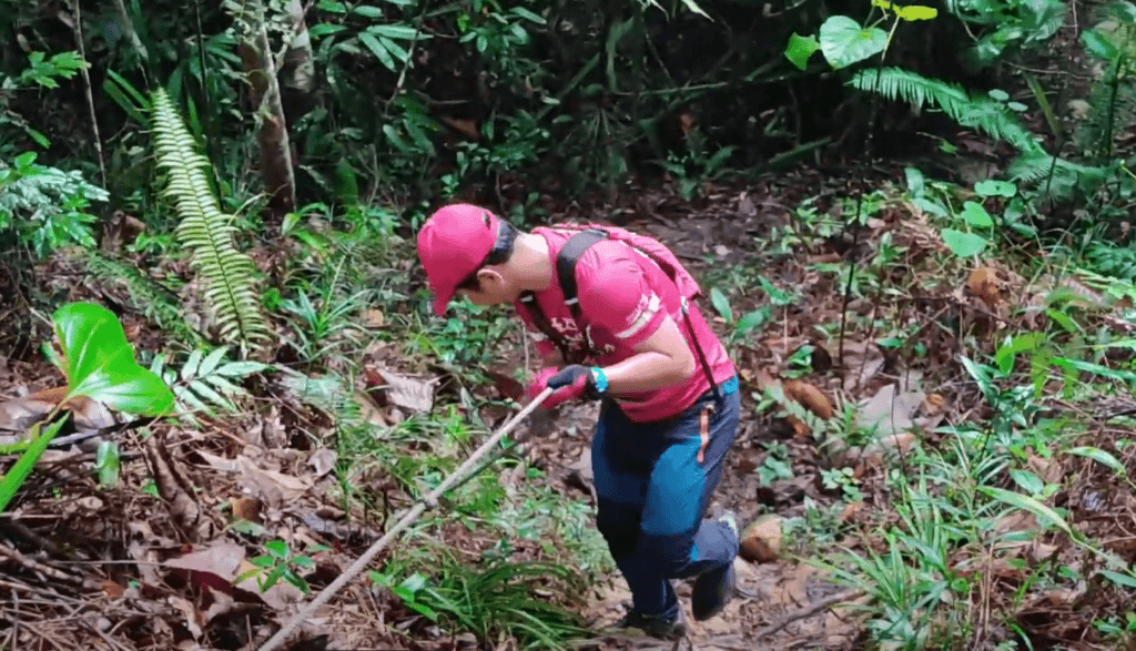 Jungle Trekking Di Taman Bukit Tumbina Bintulu, Trail Santai Hingga Ke Pantai Tanjung Batu