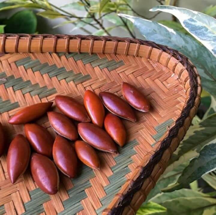 Umpama Emas Cair Di Bumi Kenyalang, Kenali Minyak Sekiu Yang Hanya Terdapat Di Mukah Sarawak