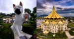Sarawak Bakal Beralih Ke Fasa 4 Pelan Pemulihan Negara Berkuatkuasa 3 Januari 2022 Sarawak Bakal Beralih Ke Fasa 4 Pelan Pemulihan Negara Berkuatkuasa 3 Januari 2022