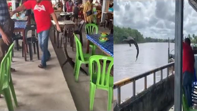 Biawak Masuk Kedai Di Mukah Mencetuskan Panik, Lelaki Ini Dengan Beraninya Membalingkannya Ke Dalam Sungai