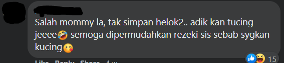 image 2 Hancur Kek Lapis Pelanggan Pemiliknya, Netizen Terhibur Dengan Kucing Ini!