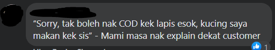 image 6 Hancur Kek Lapis Pelanggan Pemiliknya, Netizen Terhibur Dengan Kucing Ini!