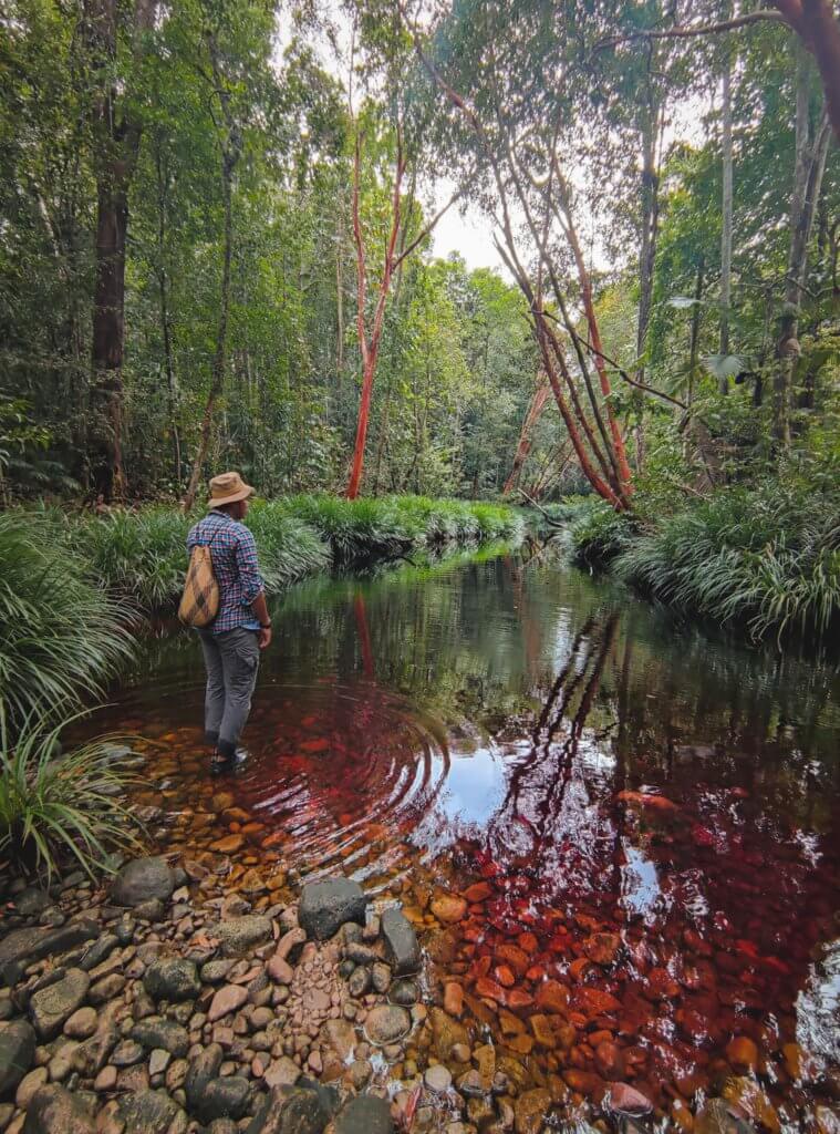 Destinasi Tersembunyi Di Bako Ini Digelar 'Black Pearl Pool' Kerana Air Sungainya Yang Berwarna Merah