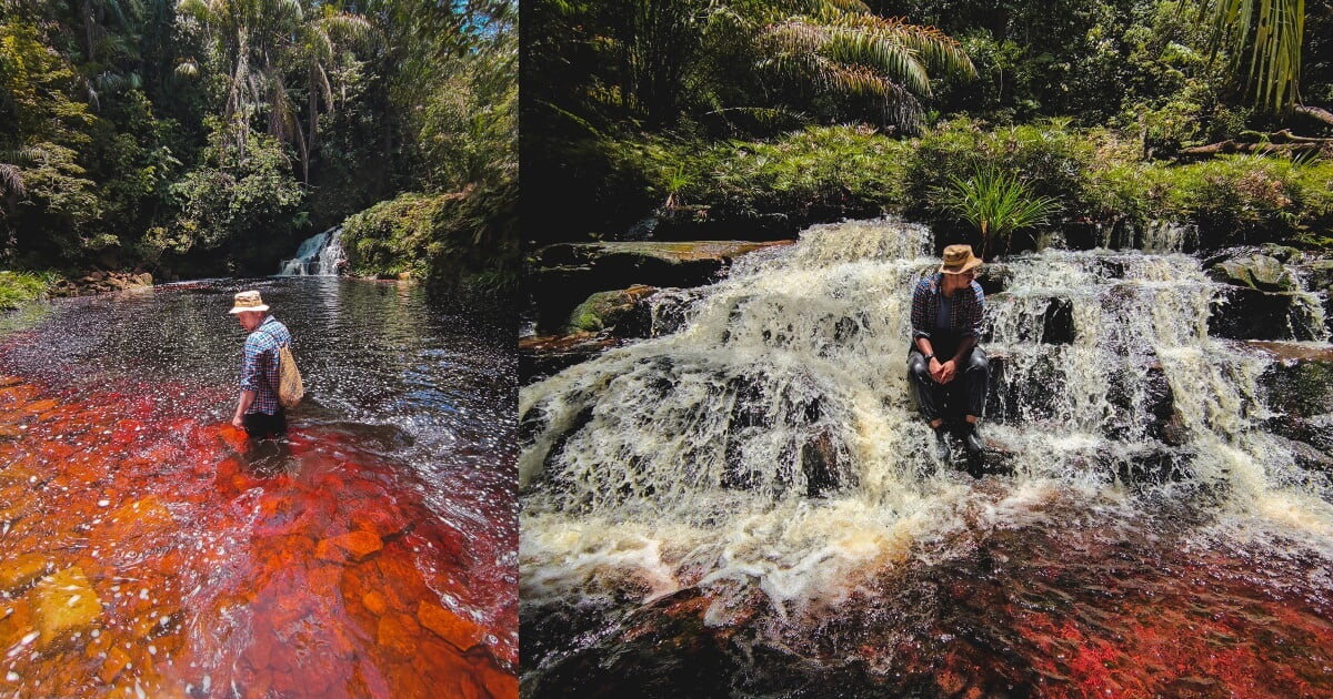 BeFunky collage 2022 01 24T154807.772 Air Sungai Berwarna Merah, Hidden Gem Di Bako Ini Digelar 'Black Pearl Pool'