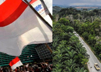 Ibu Negara Baru Indonesia Di Pulau Borneo Dinamakan Sebagai Nusantara Ibu Negara Baru Indonesia Di Pulau Borneo Dinamakan Sebagai 'Nusantara'