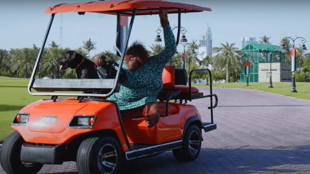 Antara Haiwan Paling Bijak Di Dunia, Ini 4 Orang Utan Yang Menunjukkan Kecerdasan Mereka 8 orangutan drives golf cart Antara Haiwan Paling Bijak Di Dunia, Ini 4 Orang Utan Yang Menunjukkan Kecerdasan Mereka