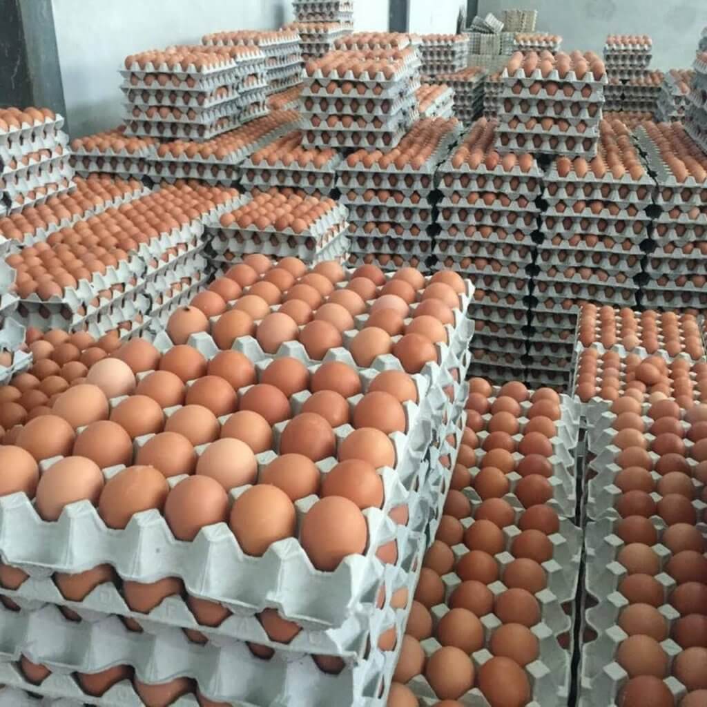Peniaga Di Mukah Yang Menetapkan Syarat Pembelian Telur Akan Dikenakan Denda