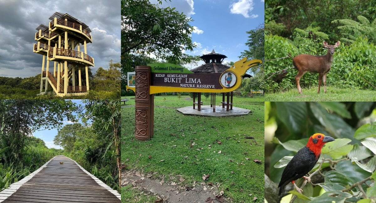 Antara Tempat Rekreasi Yang Terbesar Di Sibu, Taman Rimba Bukit Lima Ini Sesuai Untuk Anda Beriadah