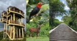 Baru Challenging! Tempat Rekreasi Terbesar Di Sibu, Anda Boleh Riadah Di Taman Rimba Bukit Lima