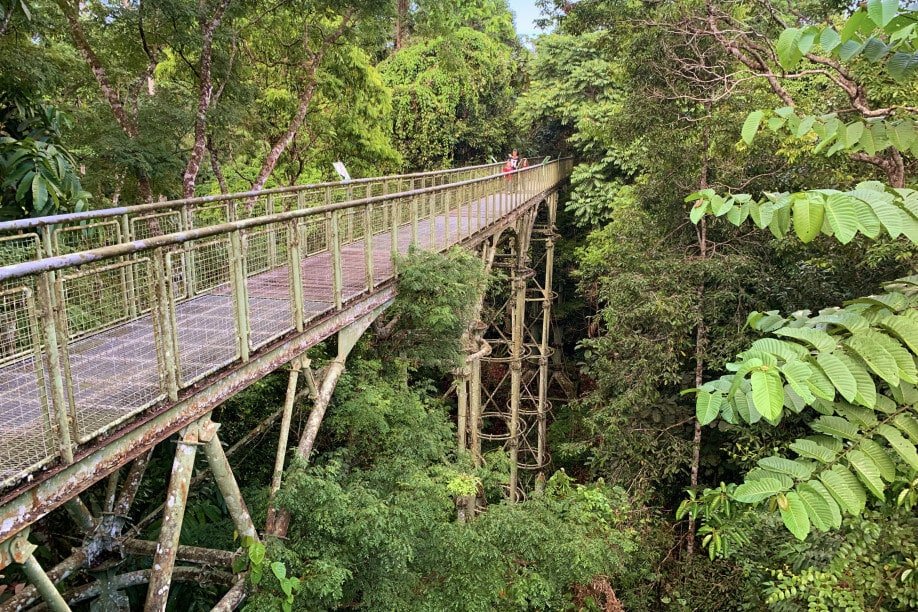 Setelah Hampir 20 Tahun, Tarikan Pelancongan Rainforest Skywalk Terpanjang Di Sabah Akhirnya Siap 100%