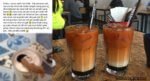 Tular Gambar Cicak Dalam Tin, Syarikat Pengeluar Buat Laporan Polis Terhadap Gadis Miri Ini