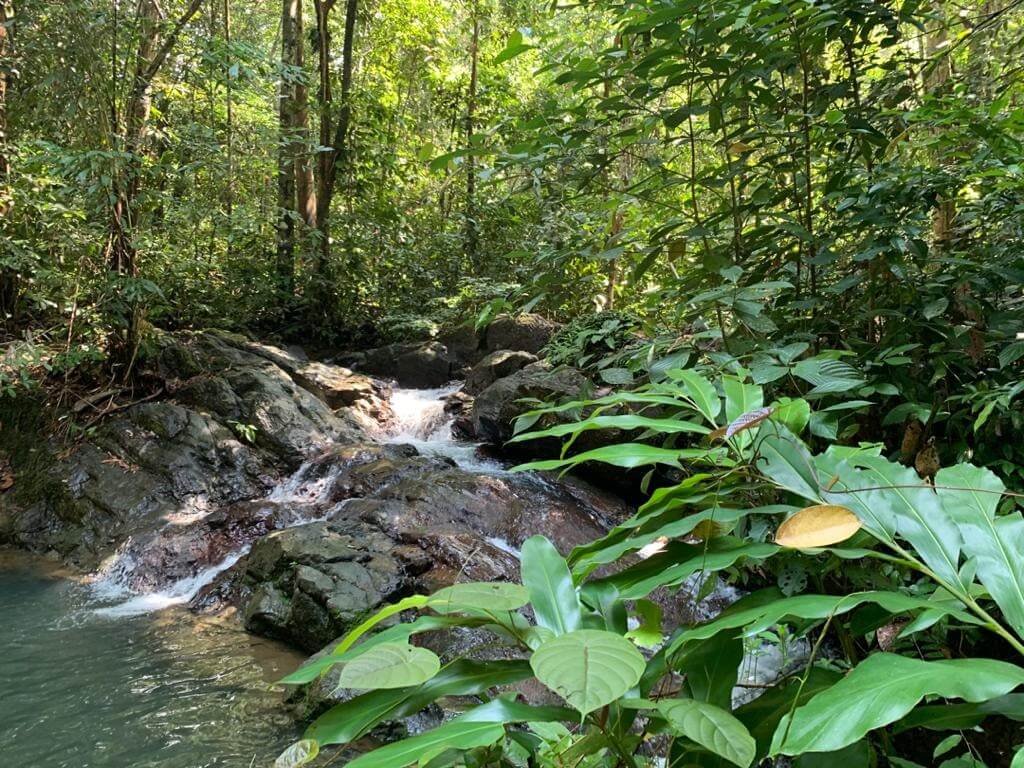 5 Hidden Gem Air Terjun Di Simunjan Yang Mesti Anda Terokai
