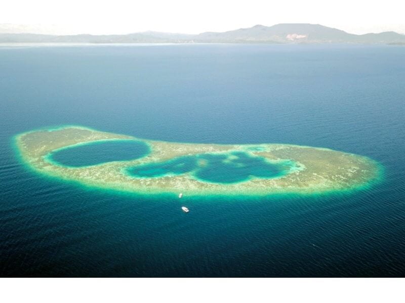 Terumbu Karang Berbentuk Cincin Satu-Satunya Di Malaysia, Jom Bercuti Ke Blue Ring Reef Di Sabah 7 Terumbu Karang Berbentuk Cincin Satu-Satunya Di Malaysia, Jom Bercuti Ke Blue Ring Reef Di Sabah