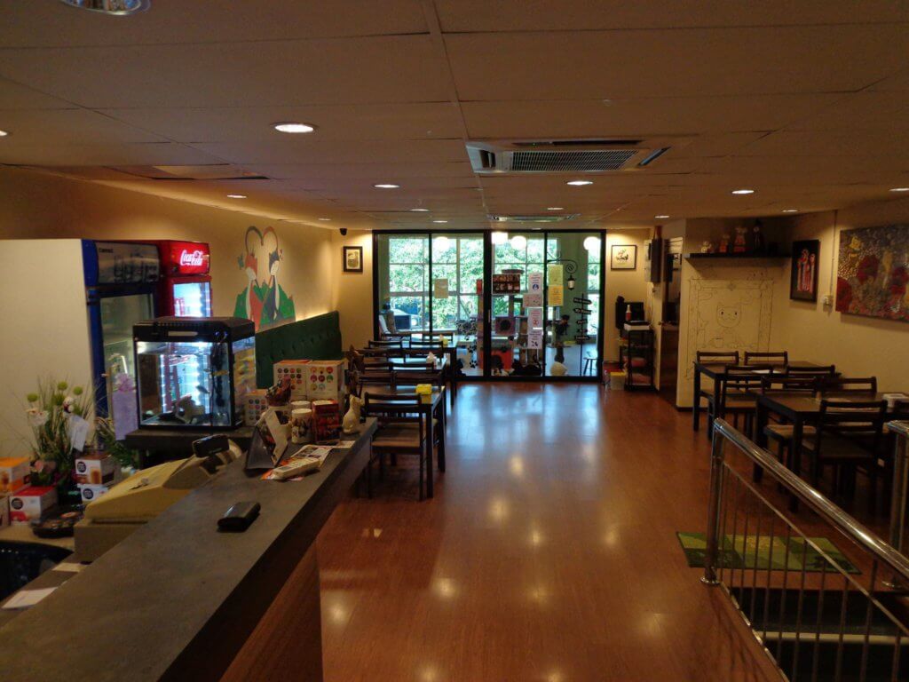 Pencinta Si Bulus, Jom Singgah Ke Meow Meow Cafe Di Kuching!