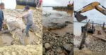 Besar Giler! 2 Buaya Sepanjang 13 dan 17 Kaki Ditangkap Di Sarawak