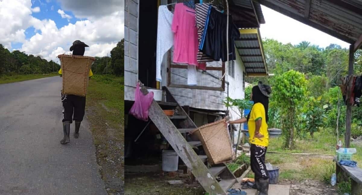 Demi Whatsapp, Ibu Tunggal Di Limbang Ini Sanggup Redah Bukit Untuk Jual Sayur Sara Keluarga