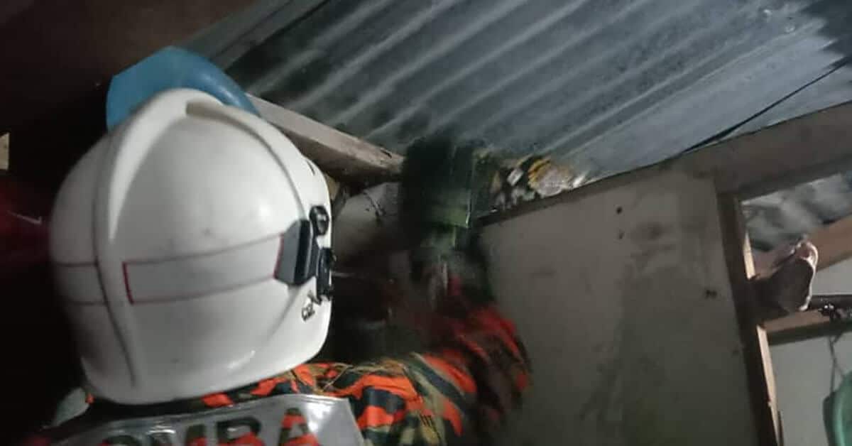 Termasuk Kawasan Tandas Rumah, Seekor Ular Sawa Batik Berjaya Ditangkap Di Betong