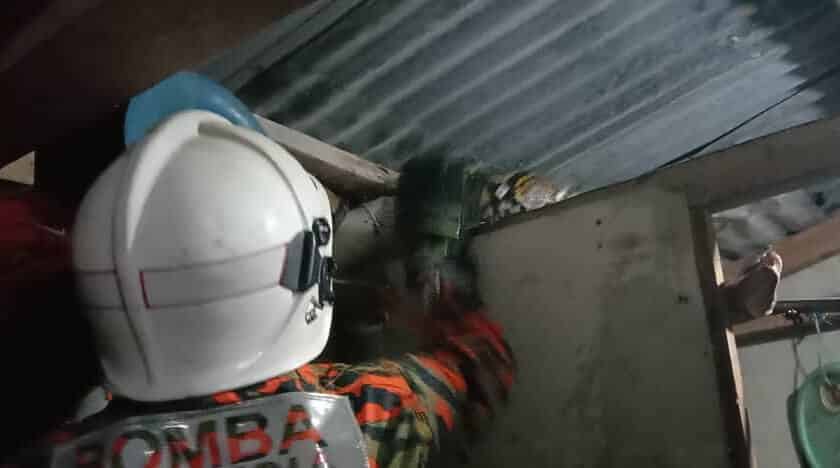 Termasuk Kawasan Tandas Rumah, Seekor Ular Sawa Batik Berjaya Ditangkap Di Betong 8 kch 210322 mtu snake p2 Termasuk Kawasan Tandas Rumah, Seekor Ular Sawa Batik Berjaya Ditangkap Di Betong