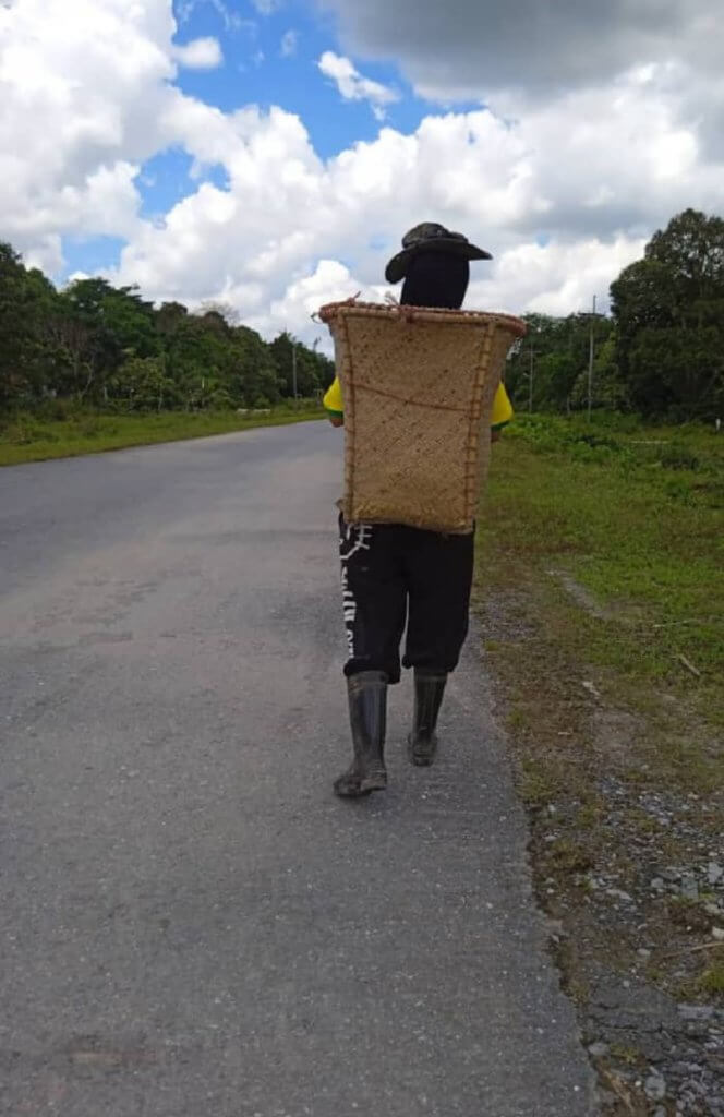 Demi Whatsapp, Ibu Tunggal Di Limbang Ini Sanggup Redah Bukit Untuk Jual Sayur Sara Keluarga