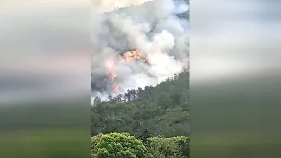 [VIDEO] Pesawat China Bawa 132 Penumpang Terhempas, Menjunam 90 Darjah Ke Pergunungan