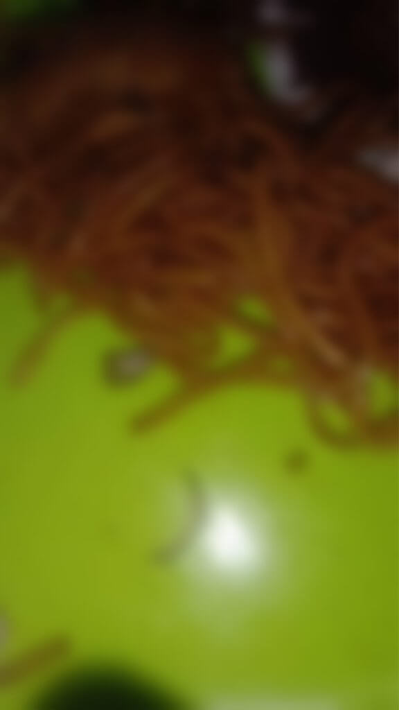 Tengah Berbuka Puasa, Wanita Di Miri Ini Terkejut Jumpa Kuku Kaki Dalam Mi Goreng