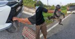 'Tok Baru Free Monkey,' Netizen Terhibur Dengan Gambar Monyet Ini Tersepit Di Bumper Kereta