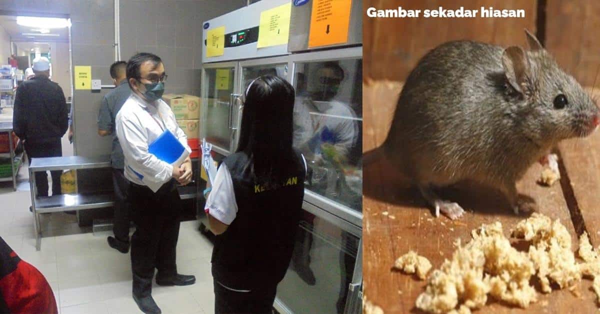Kencing Dan Najis Tikus Ditemui Dalam Dapur, Sebuah Premis Makanan Di Limbang Diarah Tutup Selama 14 Hari